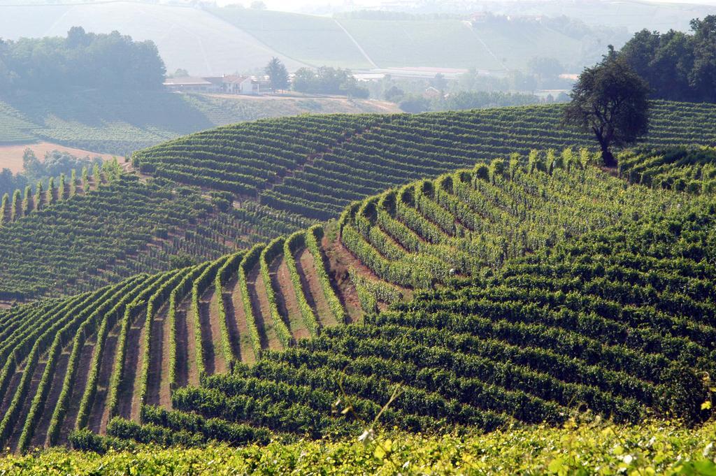 Cascina Arcangelo Raffaele Verduno ภายนอก รูปภาพ