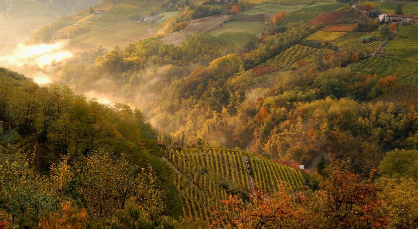 Cascina Arcangelo Raffaele Verduno ภายนอก รูปภาพ