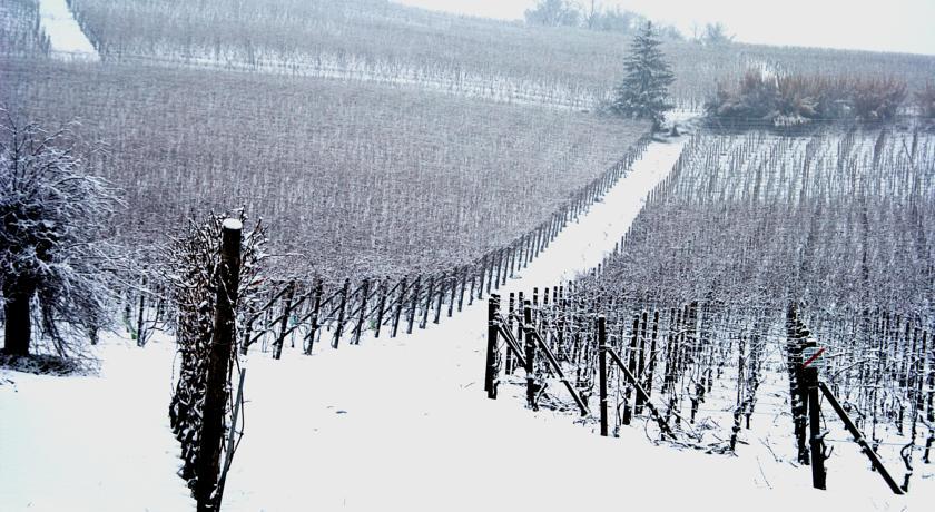 Cascina Arcangelo Raffaele Verduno ภายนอก รูปภาพ