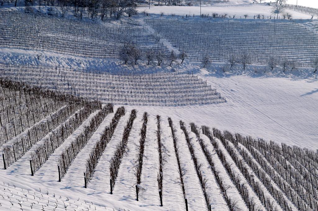 Cascina Arcangelo Raffaele Verduno ภายนอก รูปภาพ