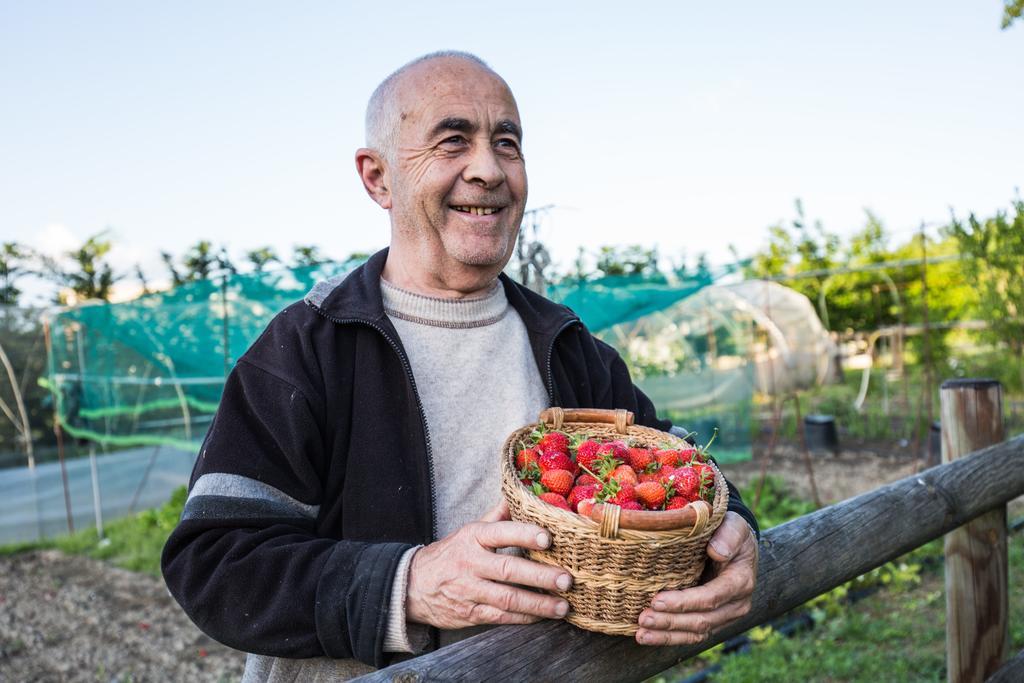 Cascina Arcangelo Raffaele Verduno ภายนอก รูปภาพ