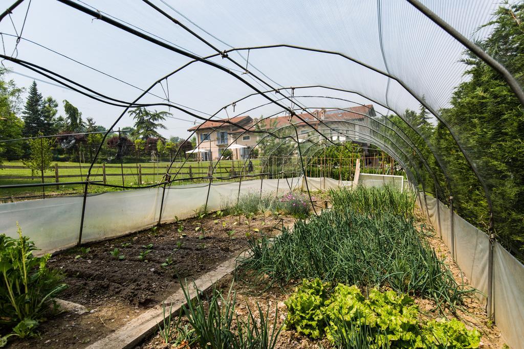 Cascina Arcangelo Raffaele Verduno ภายนอก รูปภาพ