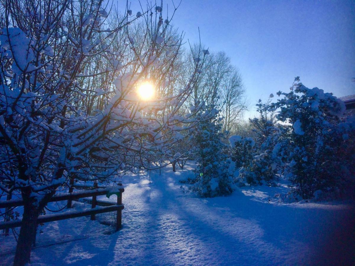 Cascina Arcangelo Raffaele Verduno ภายนอก รูปภาพ
